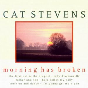 Cat Stevens